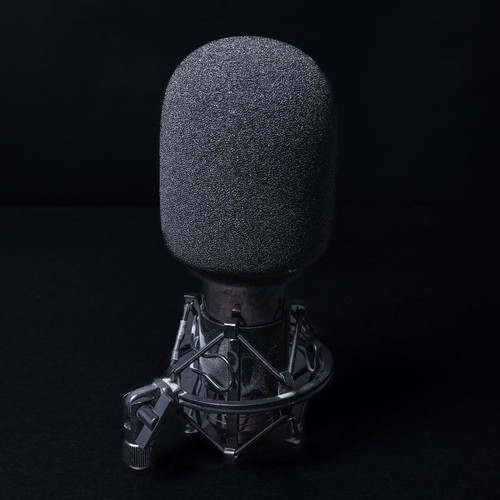 Fame c01 deluxe - fame,